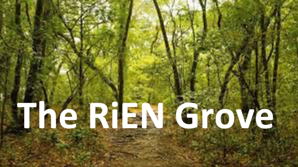A woodland grove with the words The RiEN Grove